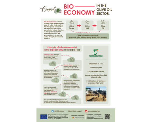 COOPID infographic – Olive oil sector